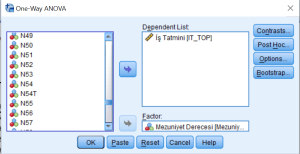 Read more about the article SPSS ile Anova Sonuçlarını Değerlendirme