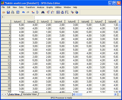 Read more about the article SPSS ile Faktör Analizi Türleri ve Hangi Durumda Kullanılmalı?