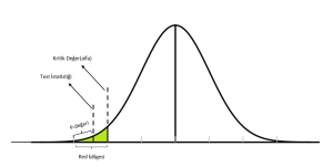 Read more about the article SPSS ile İstatistiksel Anlamlılık ve P Değeri Yorumlamaları