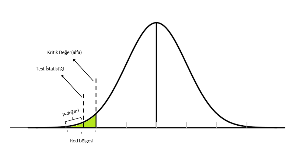 Read more about the article SPSS ile İstatistiksel Anlamlılık ve P Değeri Yorumlamaları