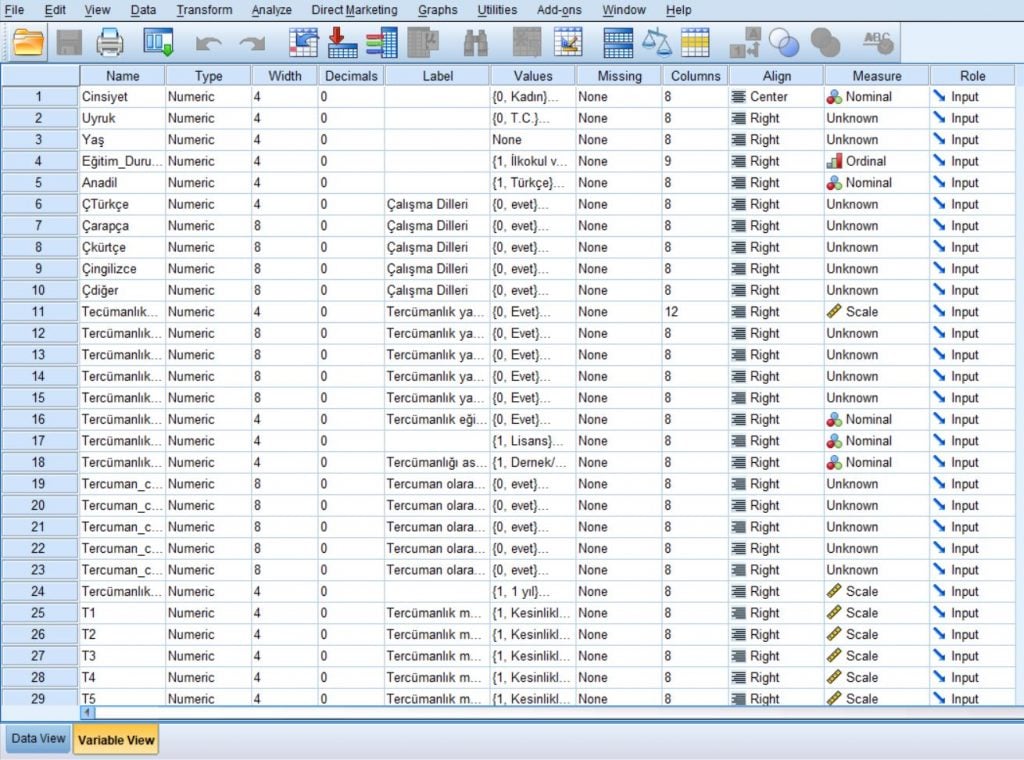 Read more about the article SPSS ile Kategorik Değişken Analizi Sonuçları