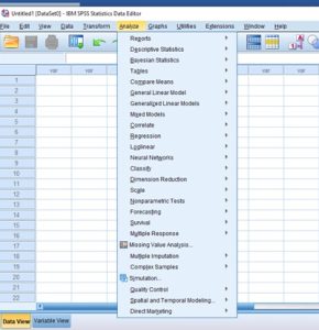 Read more about the article SPSS ile Temel İstatistiksel Analizlerin İncelenmesi