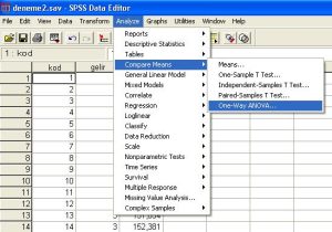 Read more about the article SPSS ile Varyans Analizi Sonuçlarını Yorumlama