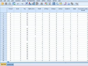 Read more about the article SPSS ile Veri Analizi ve Sonuçları Sunma