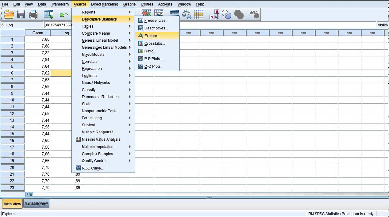 Read more about the article SPSS ile Veri Dönüşümleri ve Logaritmik Dönüşümler