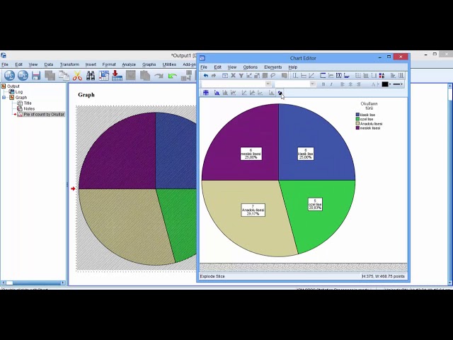 Read more about the article SPSS ile Veri Görselleştirmesi ve Grafik Oluşturma İpuçları