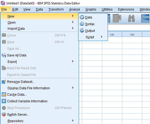 Read more about the article SPSS ile Veri Toplama ve İşleme Adımları