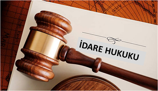 Read more about the article İdare Hukuku: İdari İşlemlerin İncelenmesi