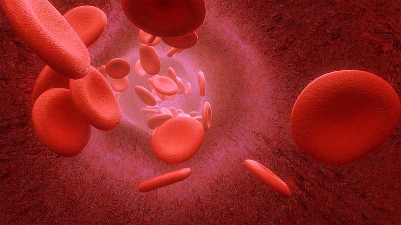 Read more about the article Hematoloji: Kan Hastalıkları ve Tanı Yöntemleri