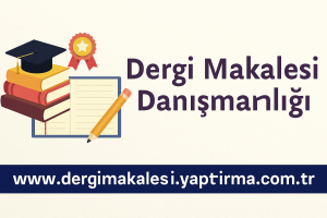 Read more about the article Dergi Makalesi Danışmanlığı ile Yayın Sürecinde Zaman Kazanın