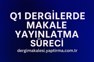 Read more about the article Q1 Dergilerde Makale Yayınlatma Süreci: Editör Destekli Danışmanlık